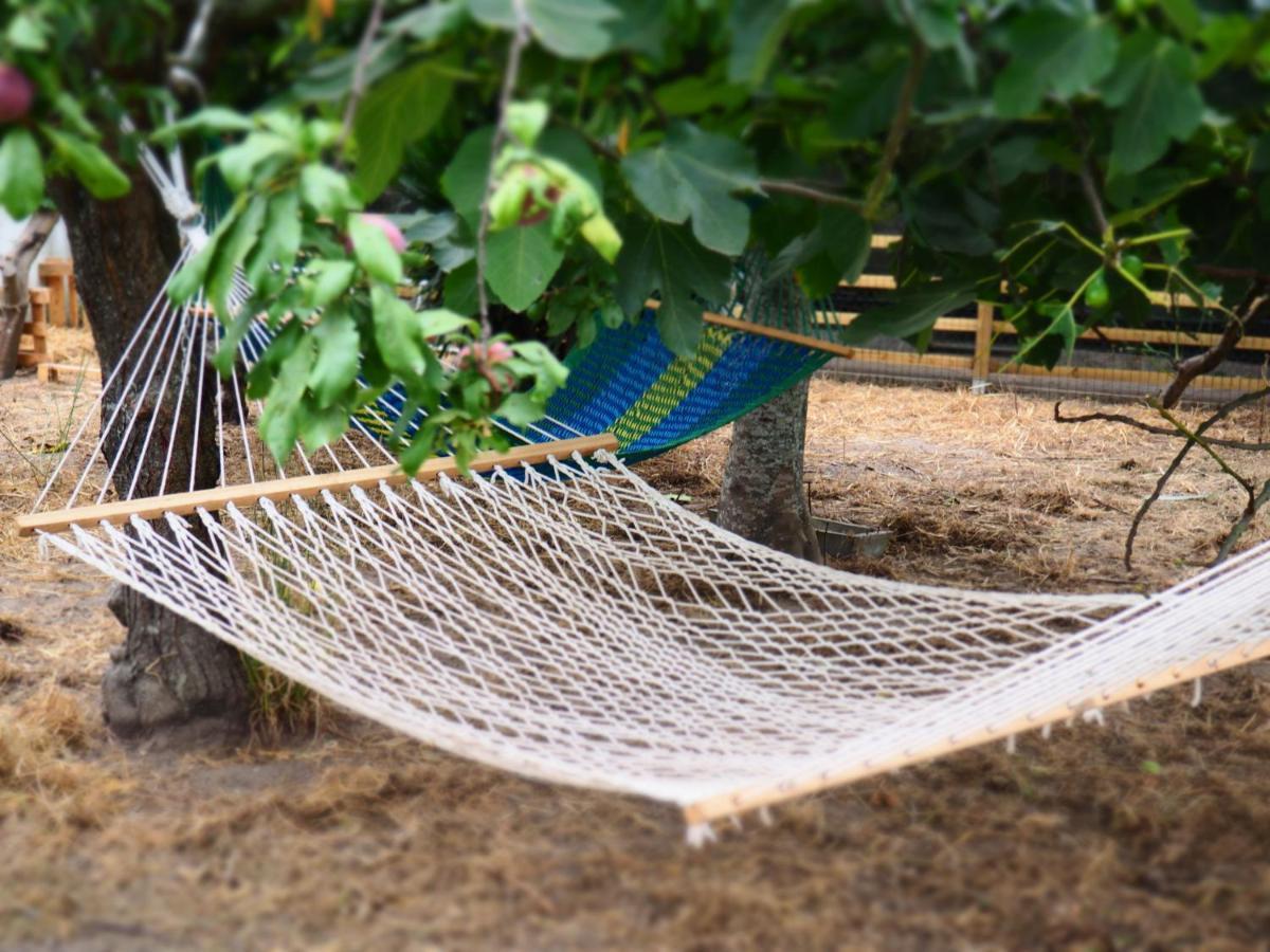 Swara Slow Living Home อาเวโร ภายนอก รูปภาพ